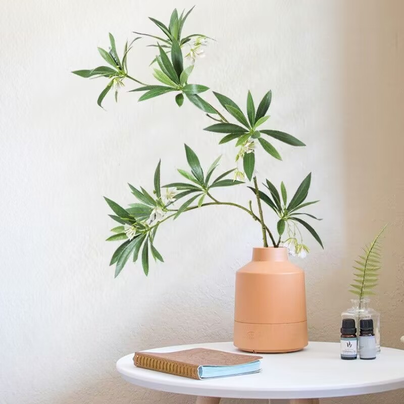 Dracaena Marginata - Bouquet da tavolo in pietra d'acqua