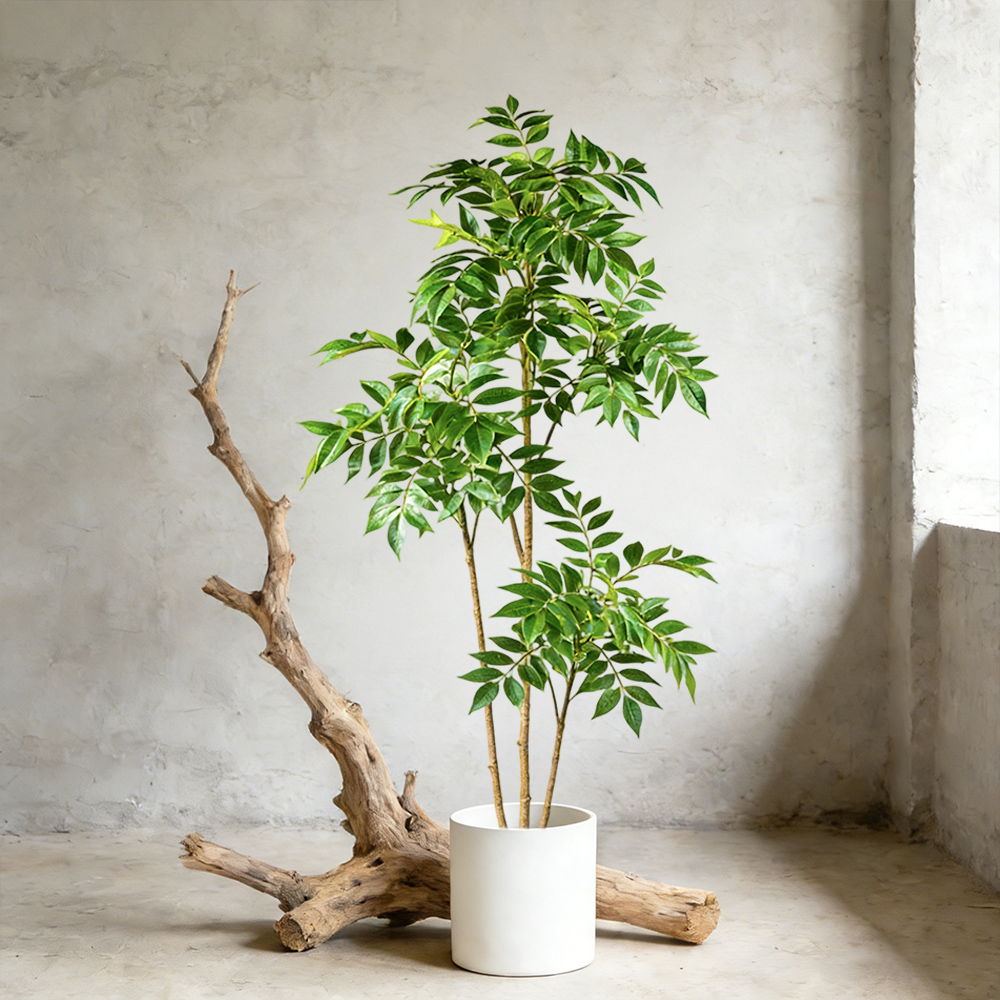 Dracaena Marginata - Albero di gomma artificiale da 76-140