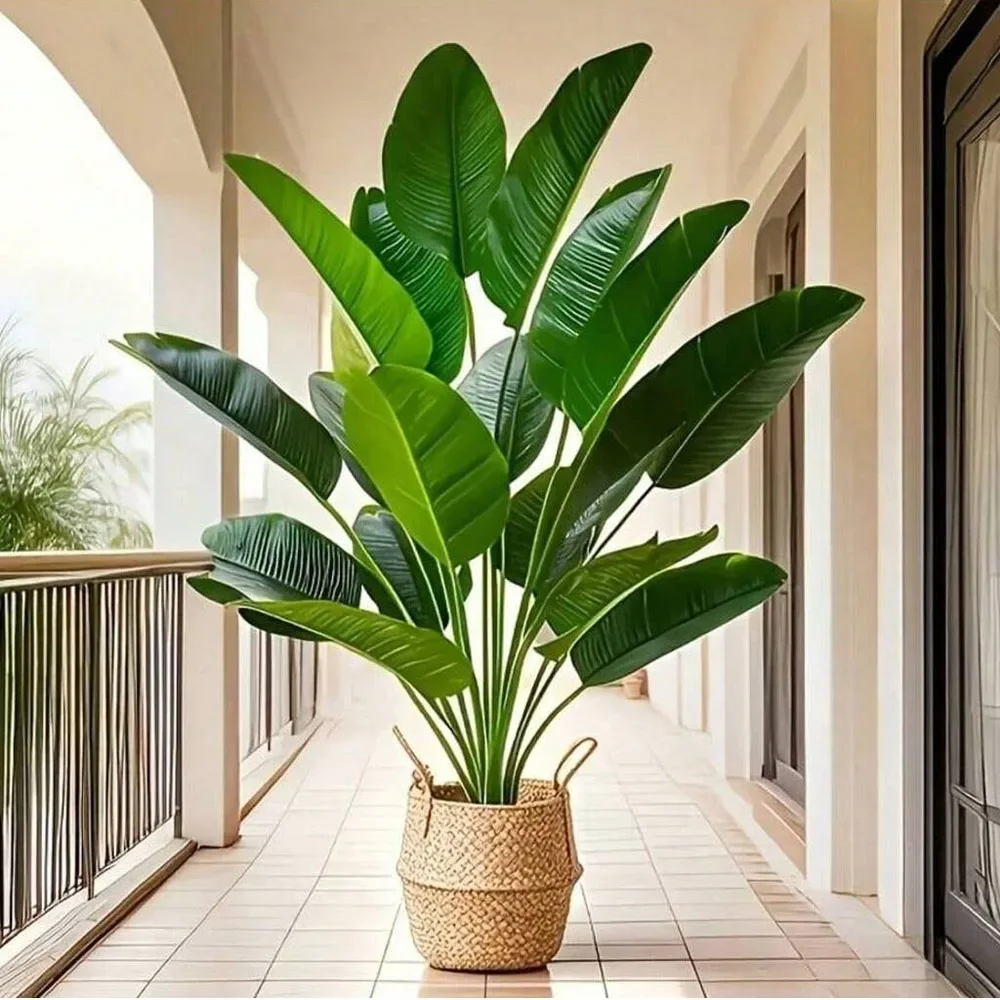 Dracaena Marginata - 1 pz 18 Foglie Piante Artificiali