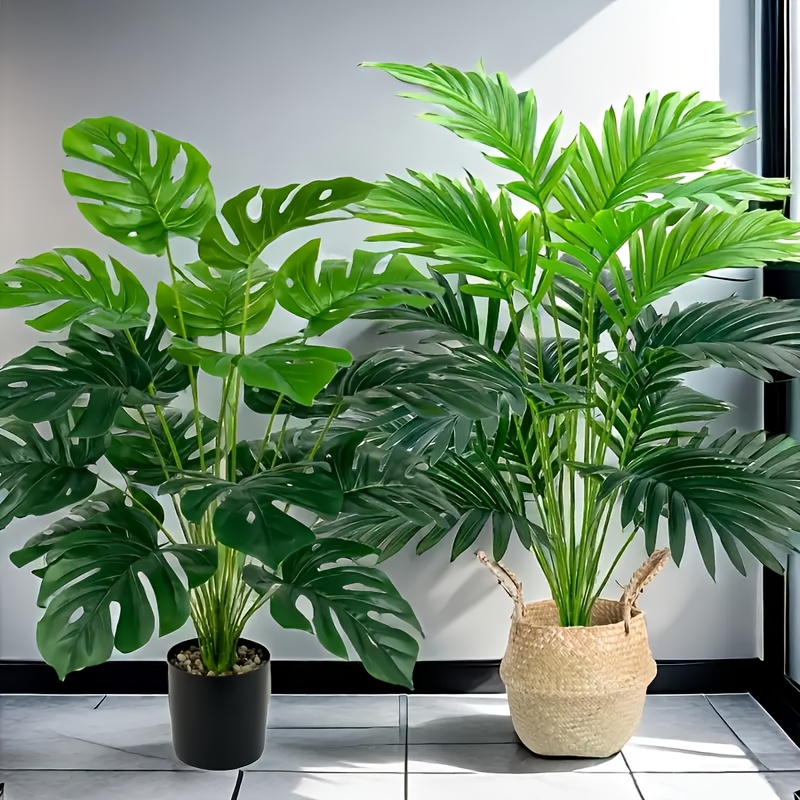 Monstera Adansonii - 2 pezzi verdi 24 foglie di