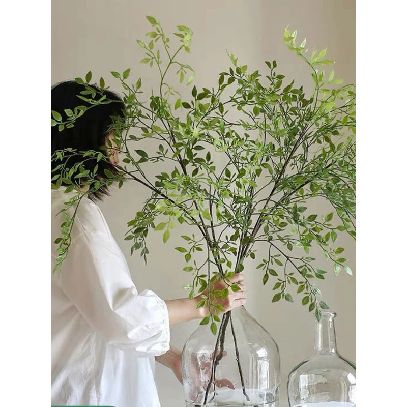 Dracaena Marginata - Pianta Artificiale a Ramo Singolo con