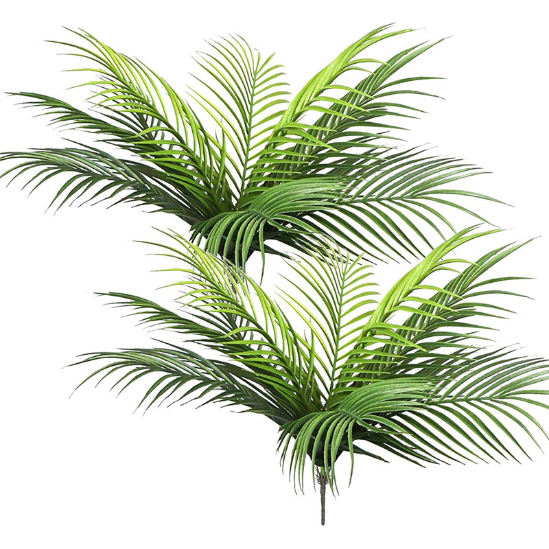 Monstera Adansonii - 20,47 pollici 9 foglie piante tropicali