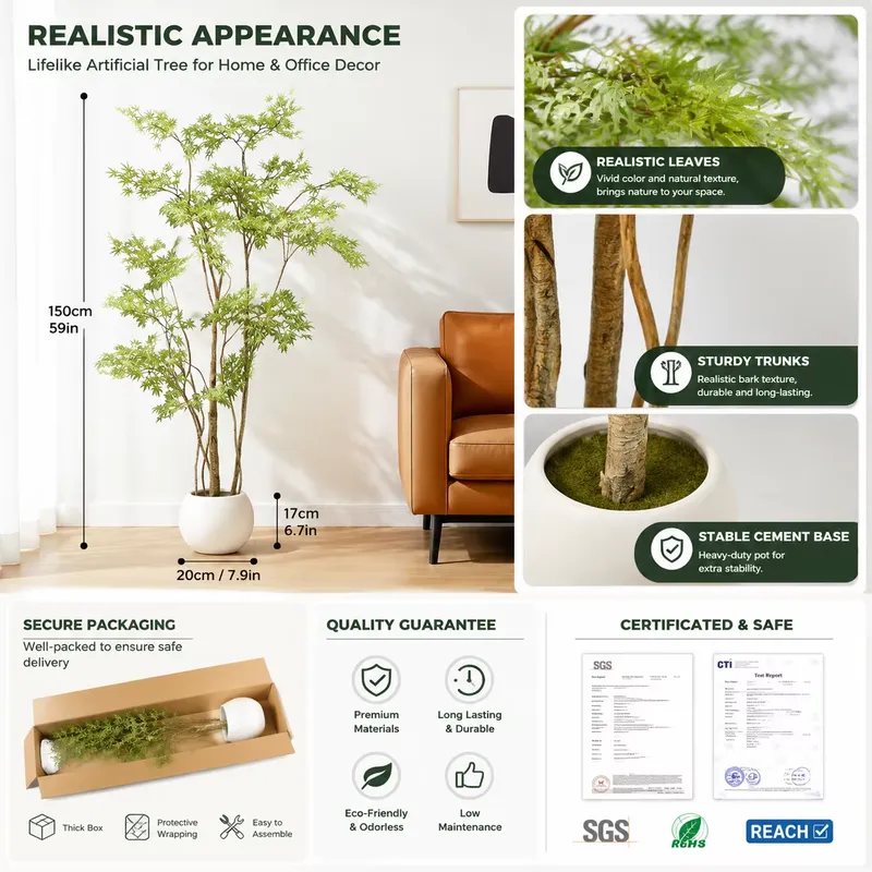 Albero di Acero Giapponese Art - Dracaena Marginata recensione e prezzo
