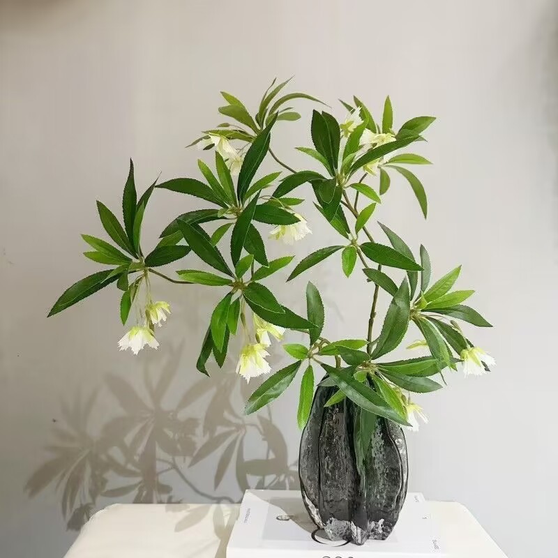 Bouquet da tavolo in pietra d' - Dracaena Marginata recensione e prezzo