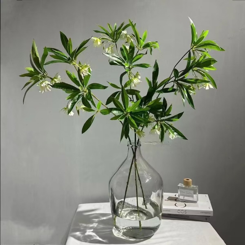 Bouquet da tavolo in pietra d' - Dracaena Marginata recensione e prezzo
