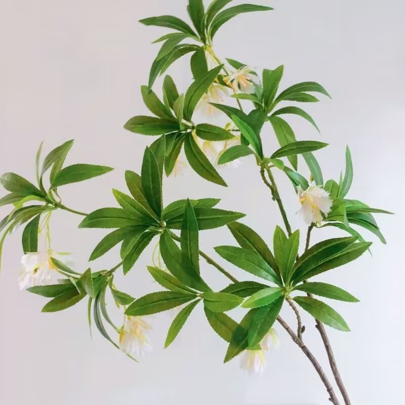 Bouquet da tavolo in pietra d' - Dracaena Marginata recensione e prezzo