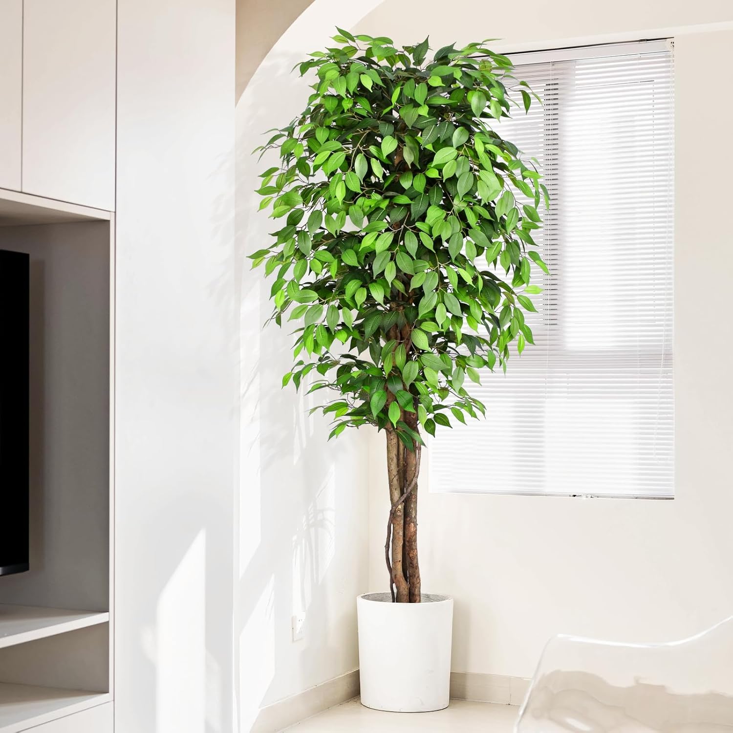 Albero di Ficus Artificiale Re - Monstera Adansonii recensione e prezzo