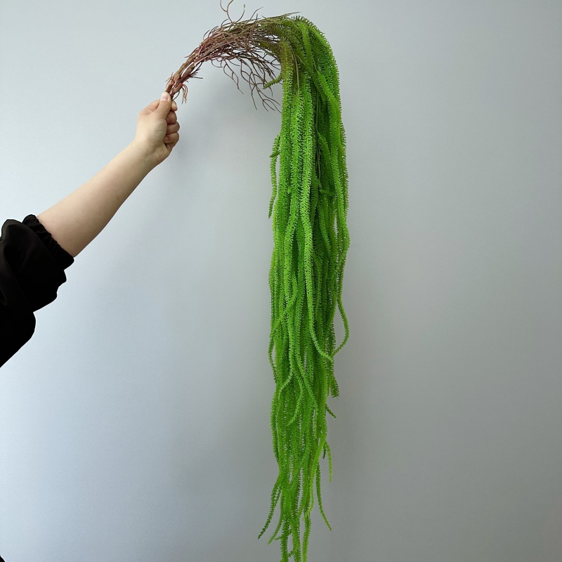 Barba di salice artificiale Ve - Monstera Adansonii recensione e prezzo