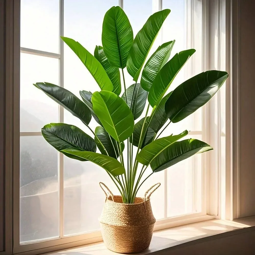 1 pz 18 Foglie Piante Artifici - Dracaena Marginata recensione e prezzo