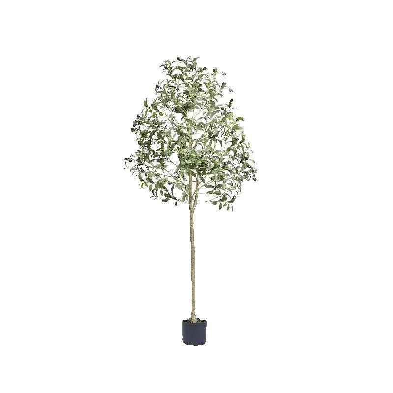 SucceBuy Oliva artificiale 4/5 - Dracaena Marginata recensione e prezzo