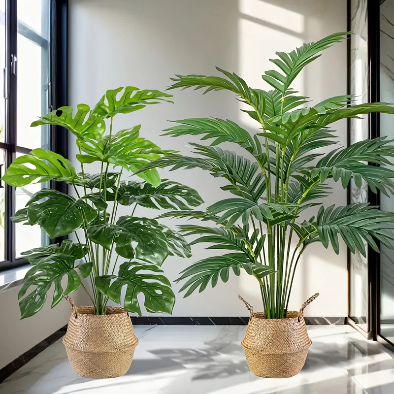 2 pezzi verdi 24 foglie di pia - Monstera Adansonii recensione e prezzo