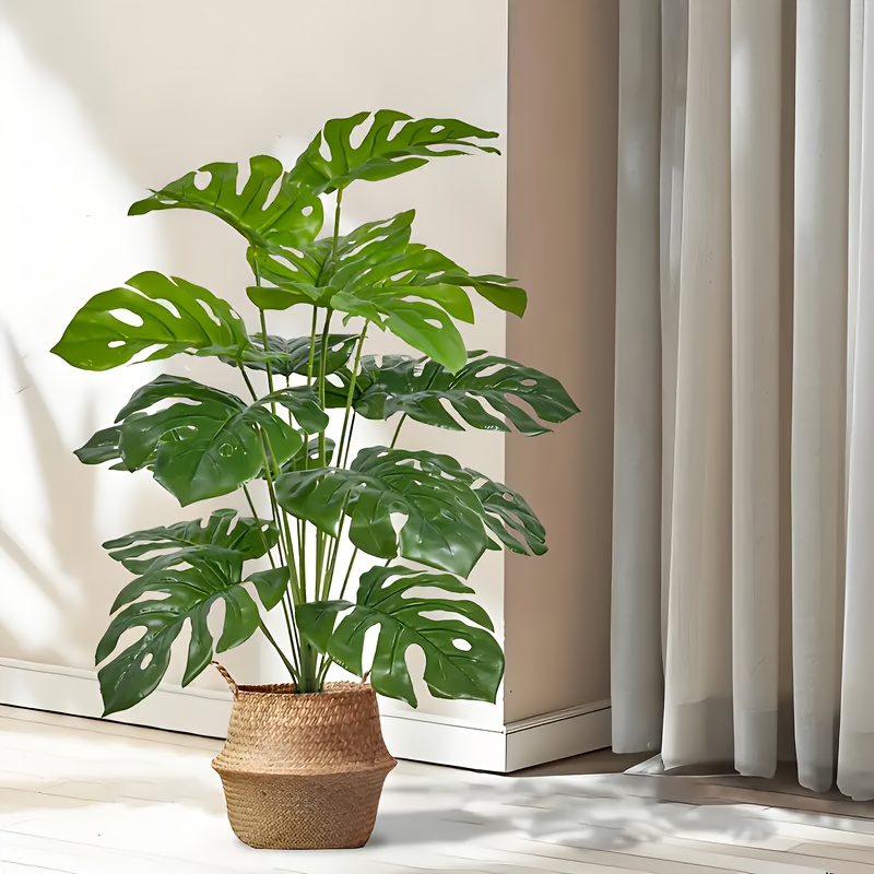 2 pezzi verdi 24 foglie di pia - Monstera Adansonii recensione e prezzo