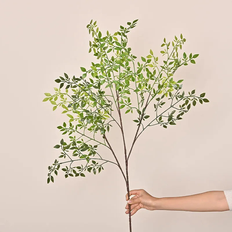 Pianta Artificiale a Ramo Sing - Dracaena Marginata recensione e prezzo