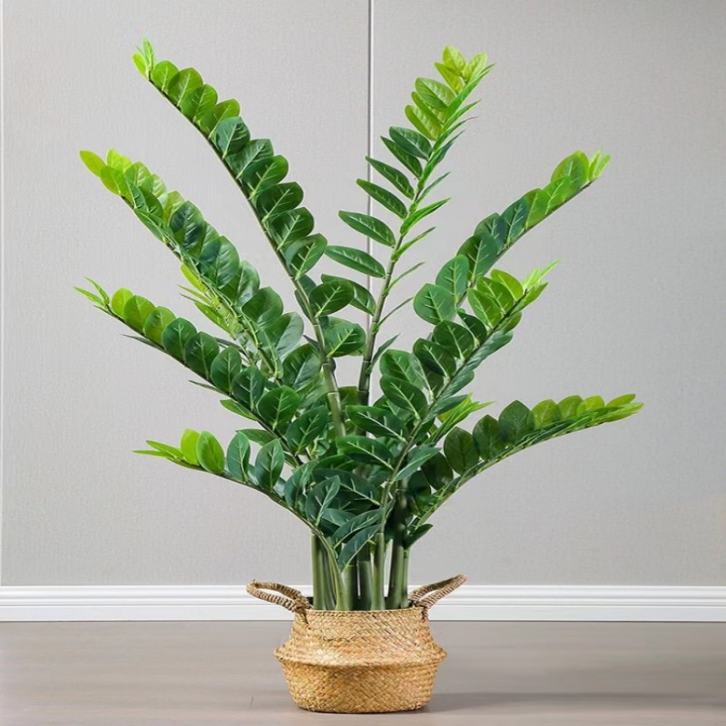 Artificiale grande ramo di Ban - Dracaena Marginata recensione e prezzo