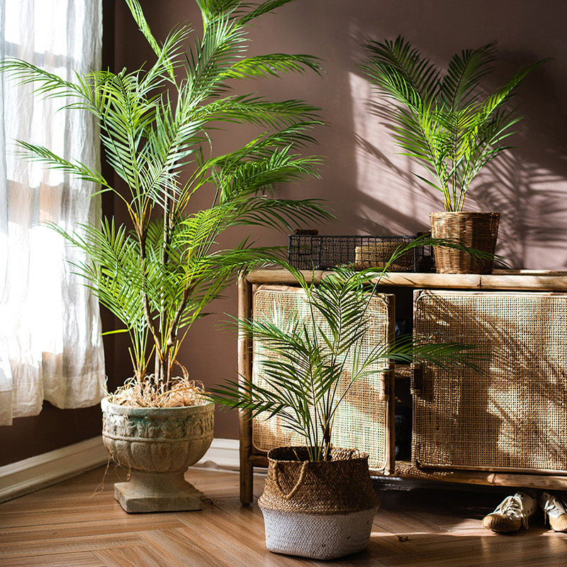 Palma Artificiale Grande 125cm - Dracaena Marginata recensione e prezzo