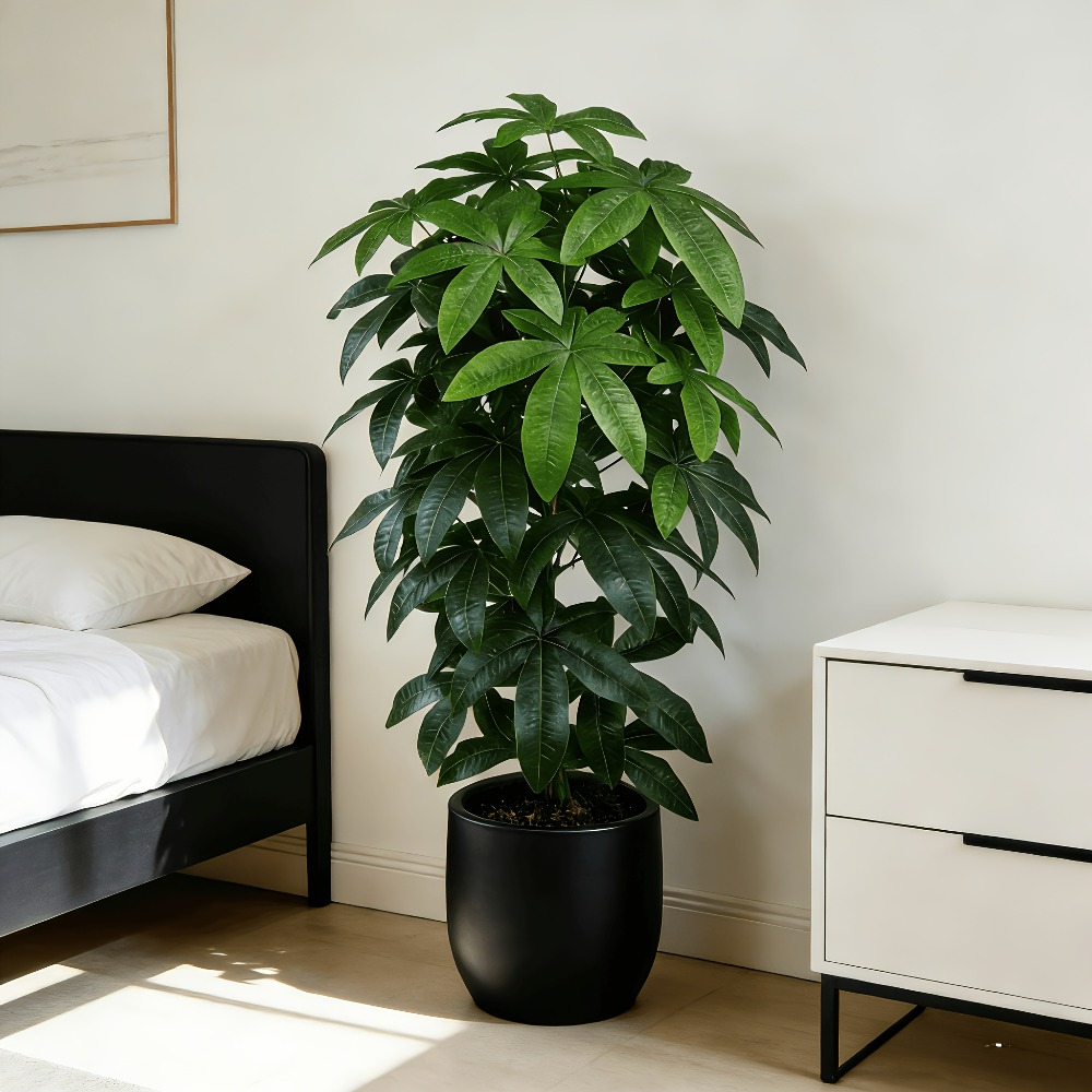 Albero della Fortuna Artificia - Monstera Adansonii recensione e prezzo