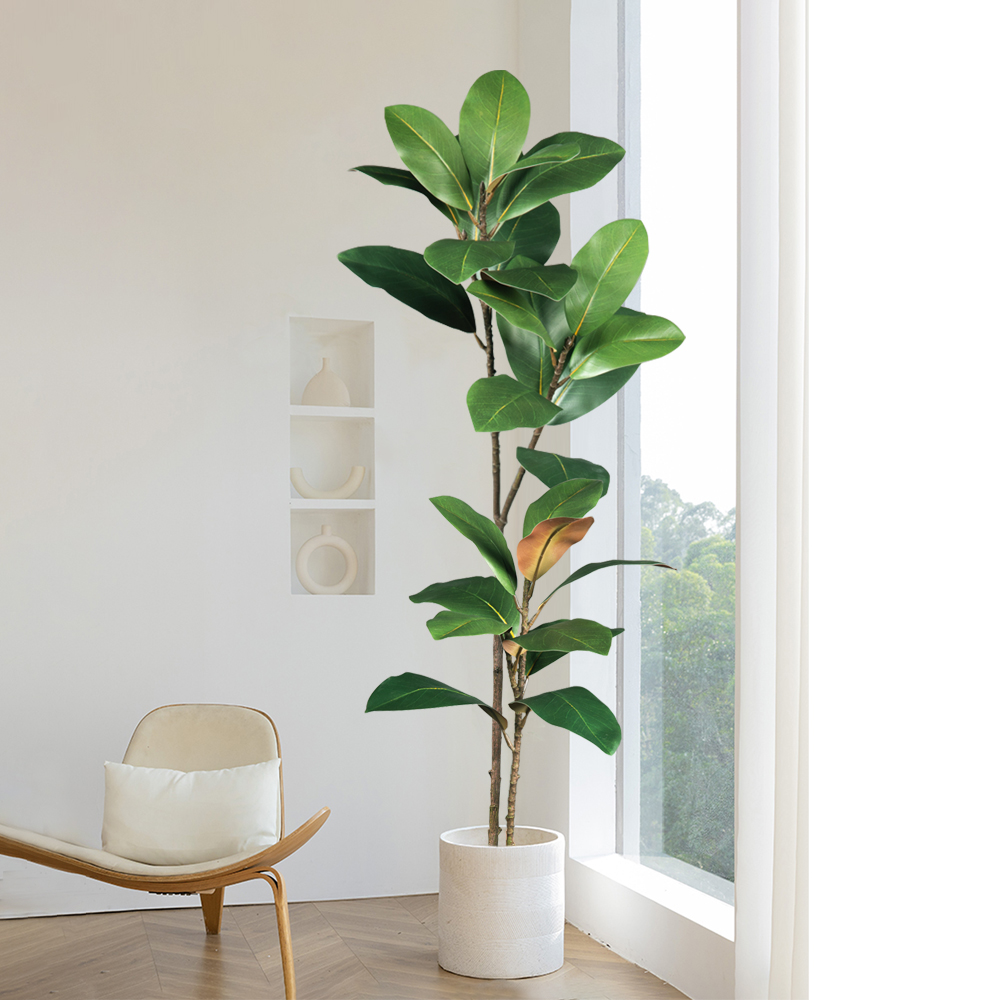 Albero di Magnolia Artificiale - Dracaena Marginata recensione e prezzo